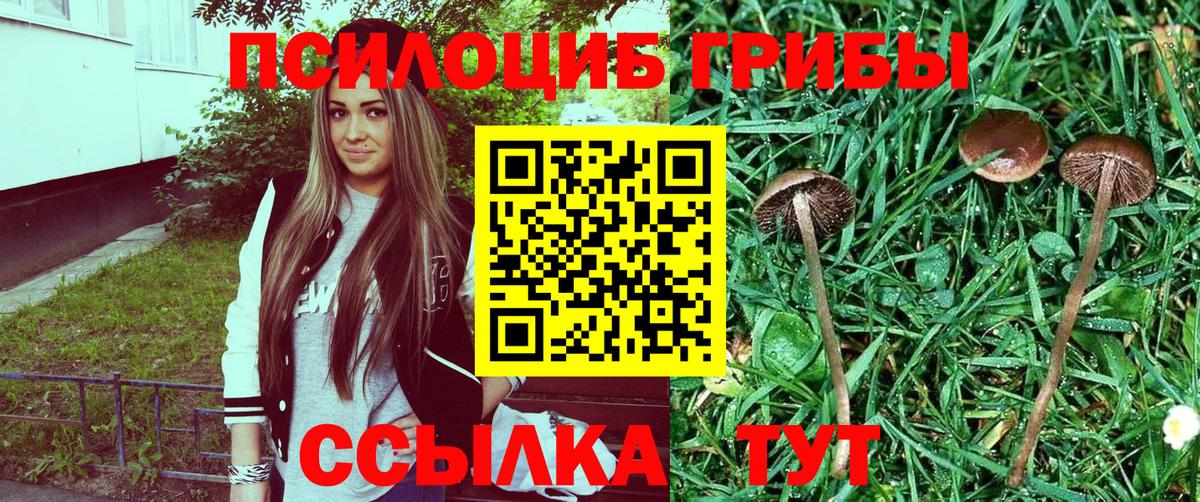 Большой Камень  Галлюциногенные грибы MAGIC MUSHROOMS  Вход с VPN 